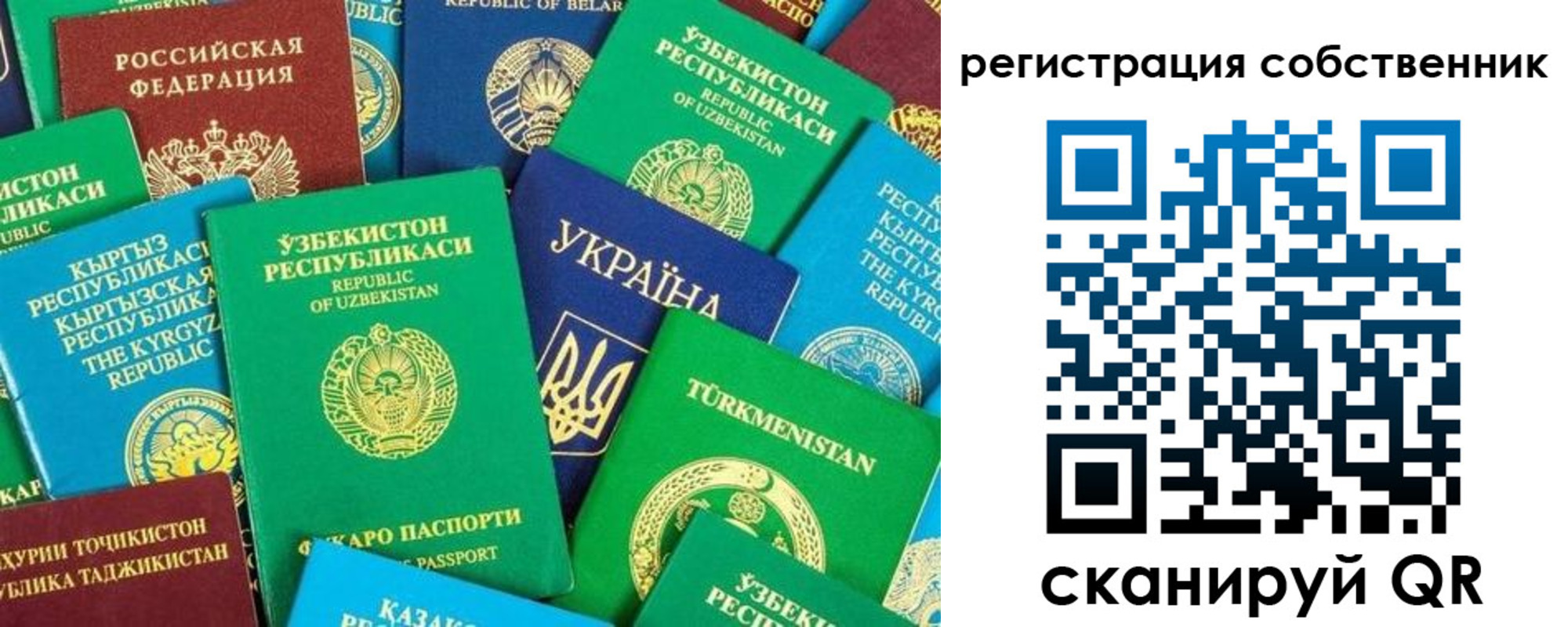 прописка в Воронежской области